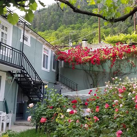 Guest House Green Rose Borjomi Bagian luar foto