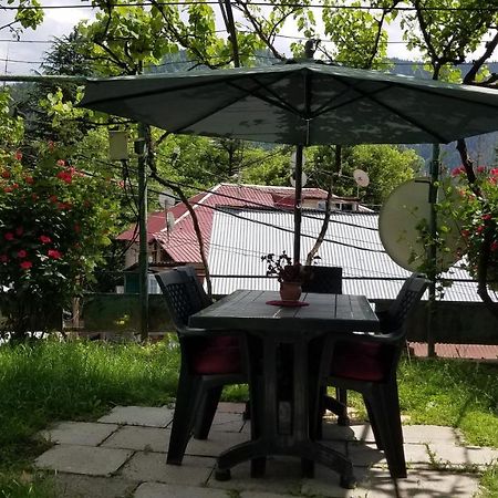 Guest House Green Rose Borjomi Bagian luar foto