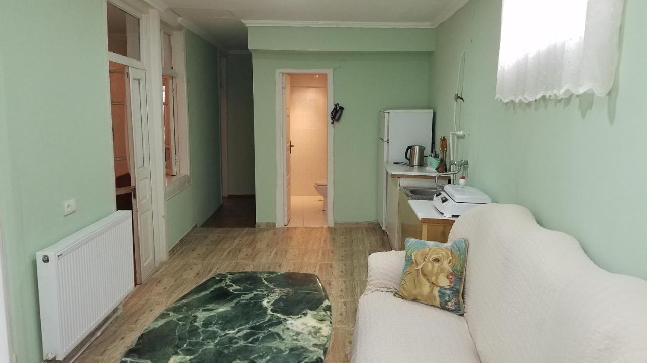 Guest House Green Rose Borjomi Bagian luar foto