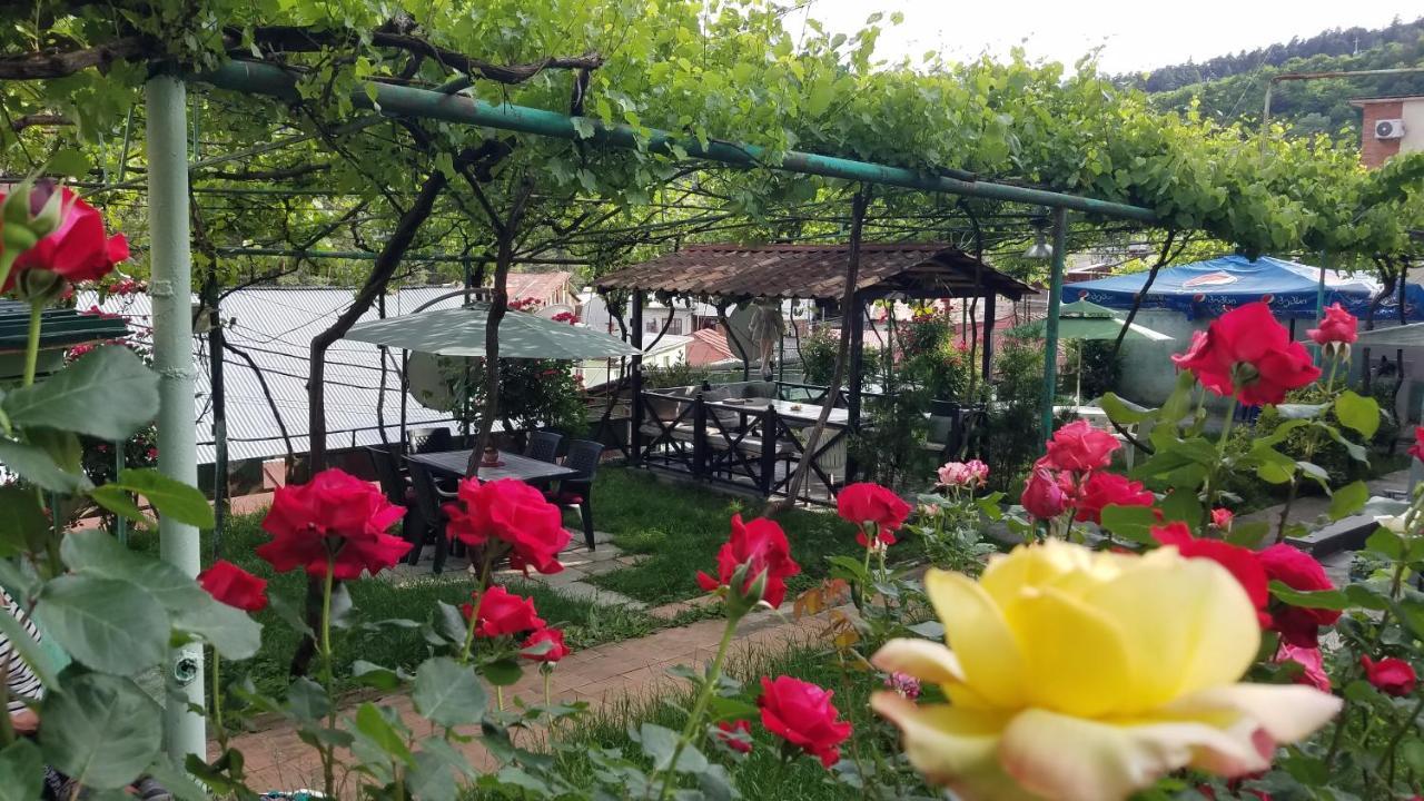 Guest House Green Rose Borjomi Bagian luar foto