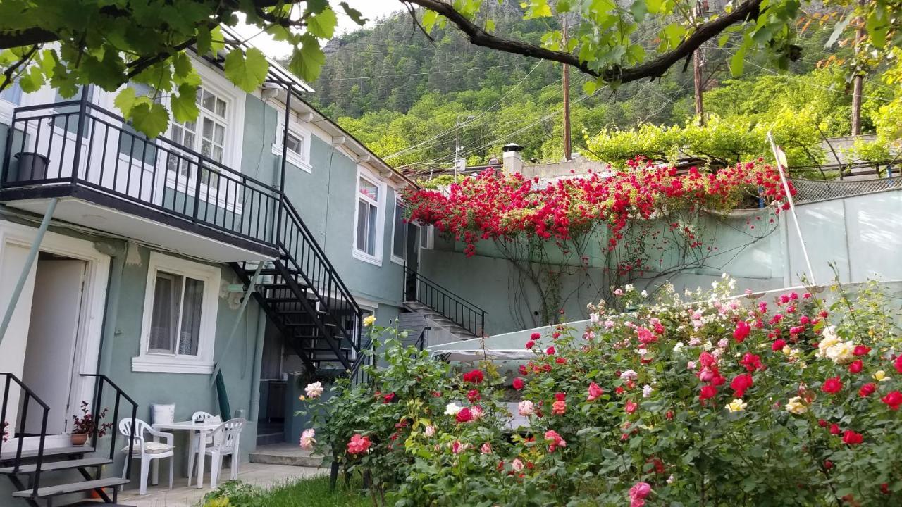 Guest House Green Rose Borjomi Bagian luar foto