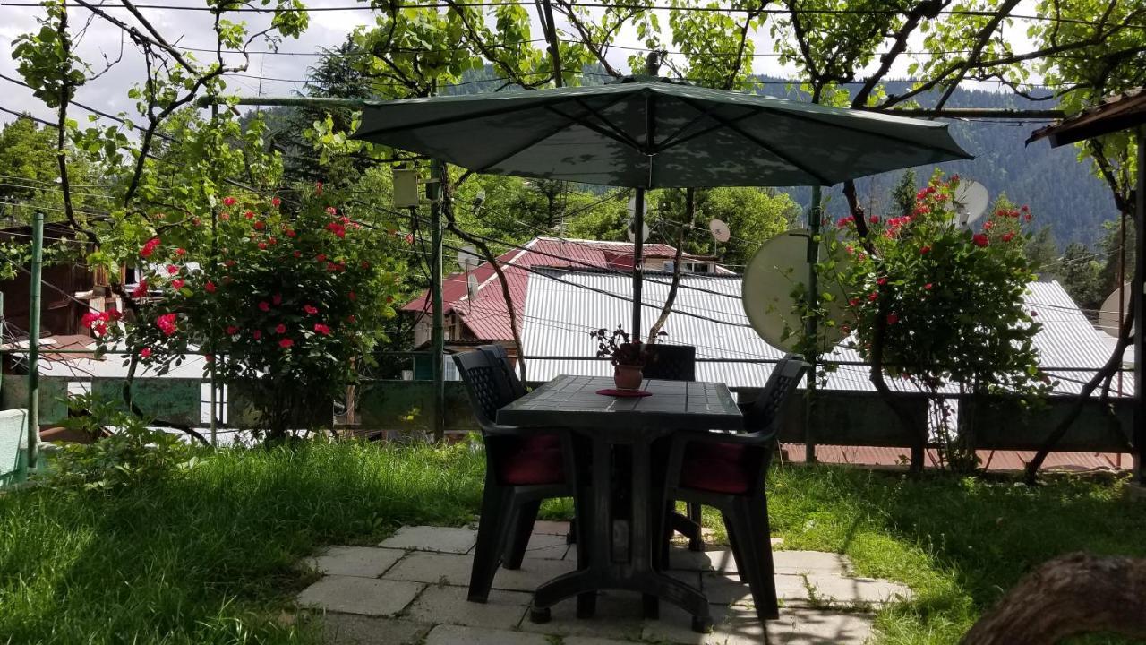 Guest House Green Rose Borjomi Bagian luar foto