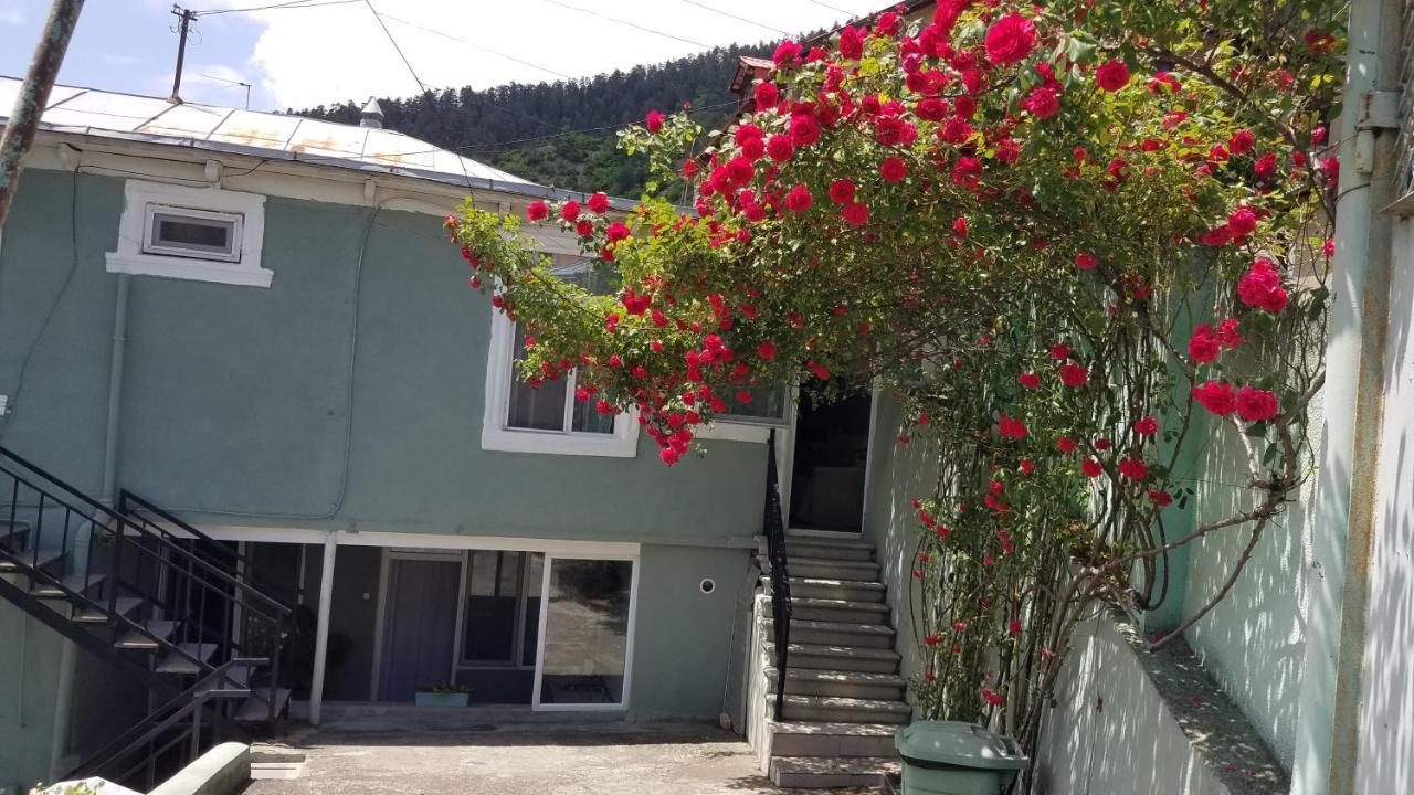 Guest House Green Rose Borjomi Bagian luar foto