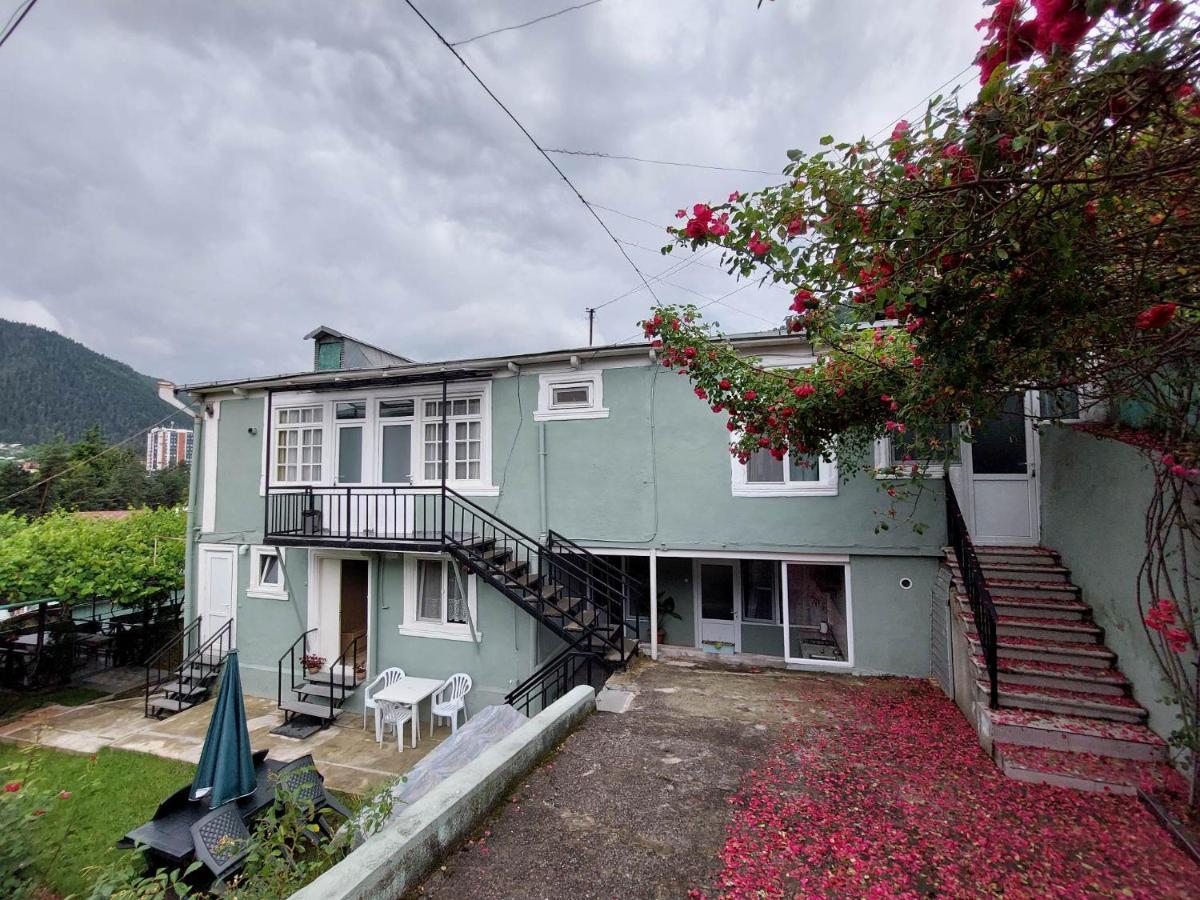 Guest House Green Rose Borjomi Bagian luar foto